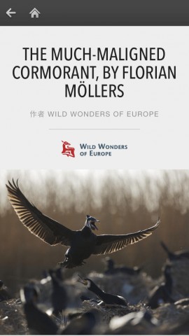 Fotopedia 野生朋友下载(iPad旅行)攻略 - 图片