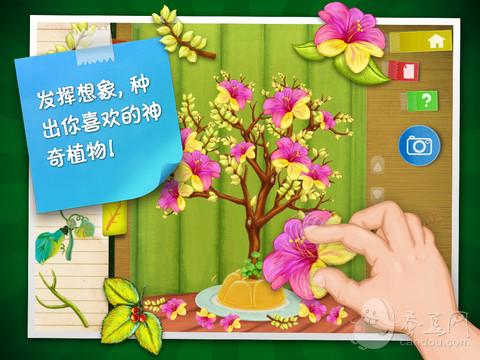 神奇种子-BiBoBox Studio下载(iPad书籍)攻略 