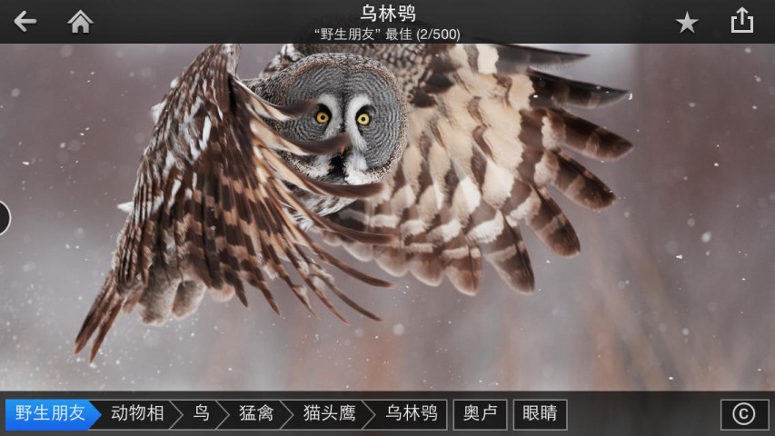 Fotopedia 野生朋友下载(iPad旅行)攻略 - 图片