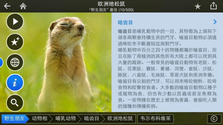 Fotopedia 野生朋友下载(iPad旅行)攻略 - 图片