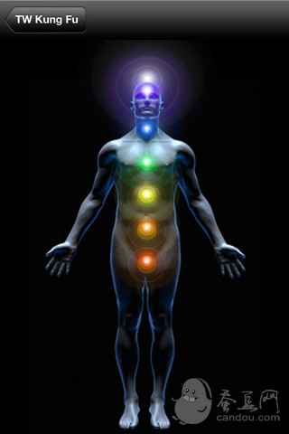 KUNG FU PRACTISED BY BRUCE LEE Free