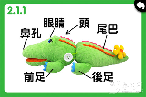 K's Kids Parents' Support Center : CrocoBloco